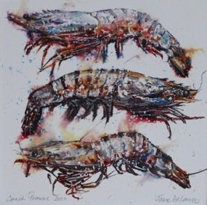 Cornish Prawns 2022, Jane Delaney