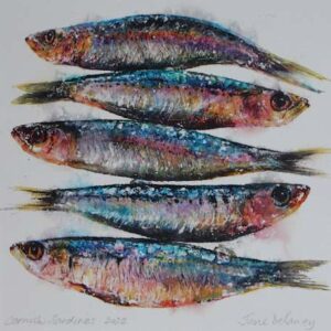 Cornish Sardines 2022, Jane Delaney