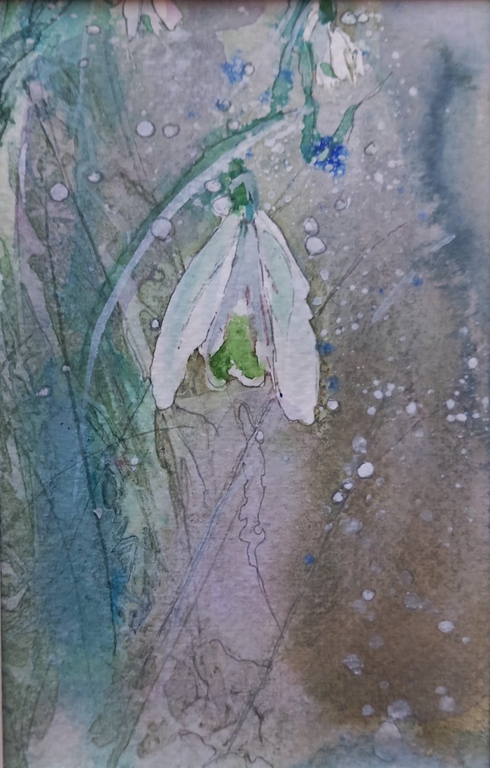 Single Snowdrop by Kerry Grant BscHons, PGCE, MA