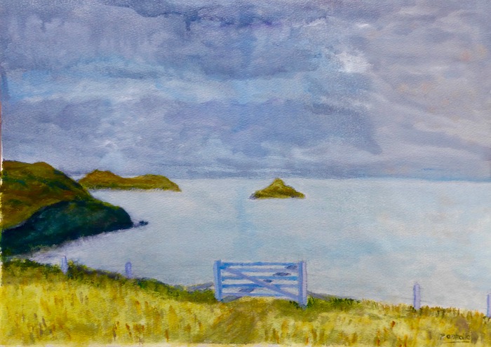 YARNIGOAT PARC - The Blue Gate, Port Quin Bay - David Penhale